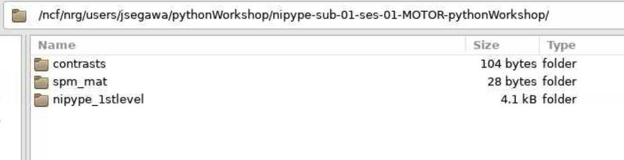 Directory of nipype output